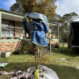 plant removalist sydney